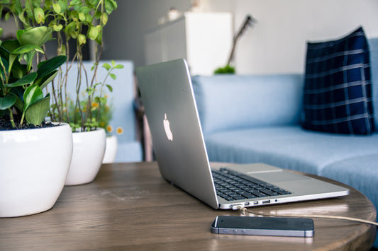 5 University Must Haves